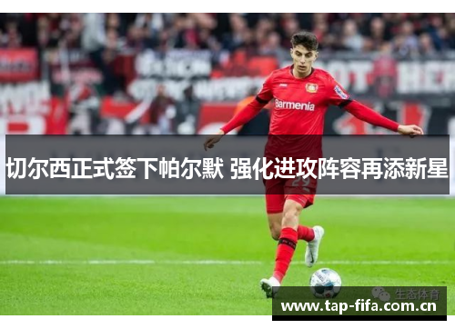 切尔西正式签下帕尔默 强化进攻阵容再添新星 切尔西正式签下帕尔默 强化进攻阵容再添新星